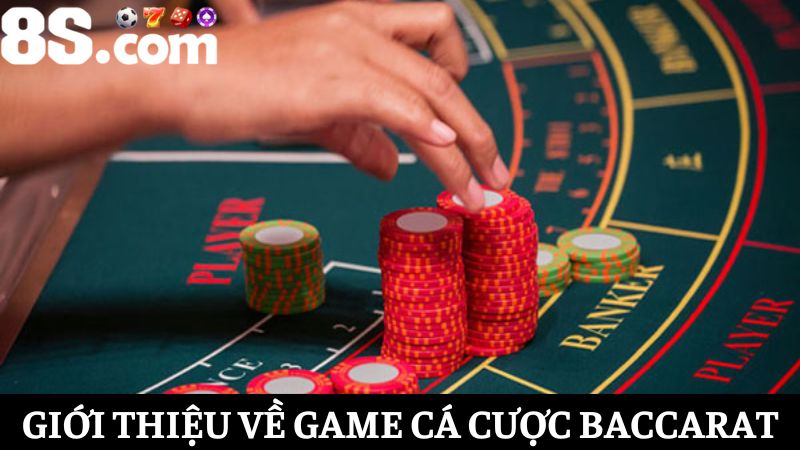 Soi cầu baccarat