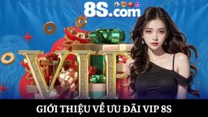 Ưu đãi VIP 8S