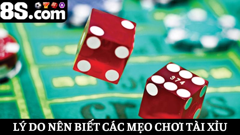 lý do người chơi nên dùng mẹo chơi tài xỉu