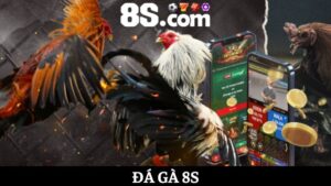 đá gà 8S